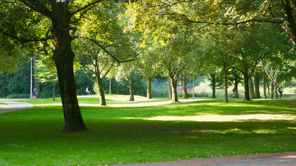 Begeleide wandeling door het Beatrixpark